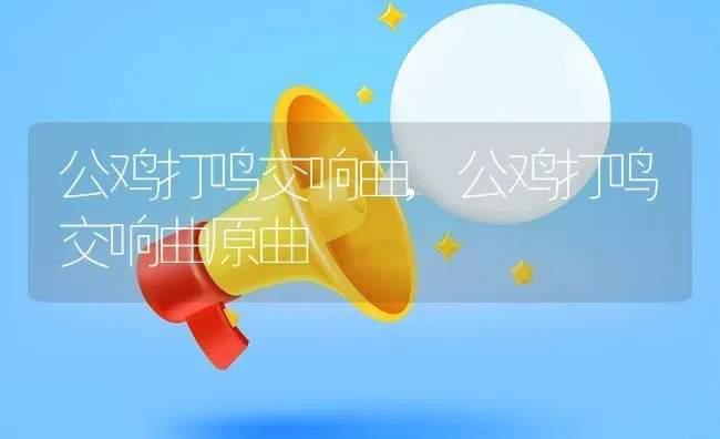 公鸡打鸣交响曲,公鸡打鸣交响曲原曲 | 养殖资料