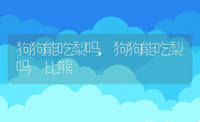 狗狗能吃梨吗,狗狗能吃梨吗 比熊 | 养殖资料