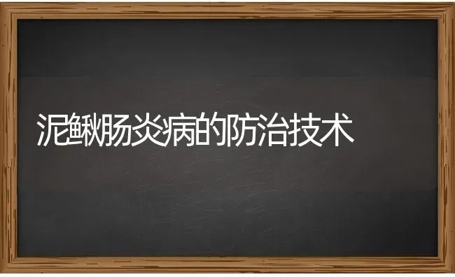 泥鳅肠炎病的防治技术 | 养殖技术大全