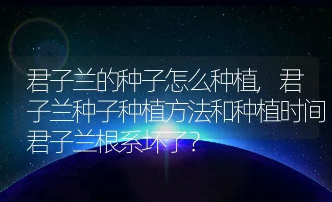 盆栽竹子的养殖方法及养护要点,好运竹的养殖方法 | 养殖学堂
