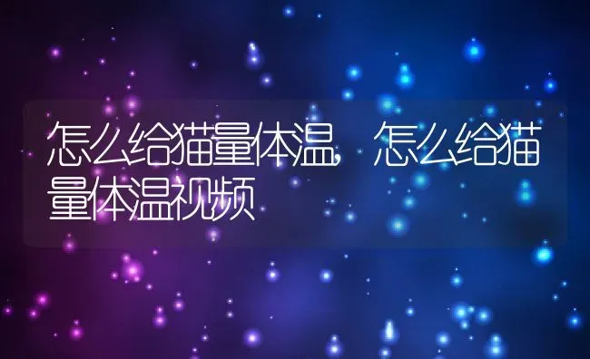 怎么给猫量体温,怎么给猫量体温视频 | 养殖资料