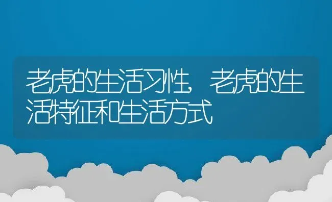 老虎的生活习性,老虎的生活特征和生活方式 | 养殖资料