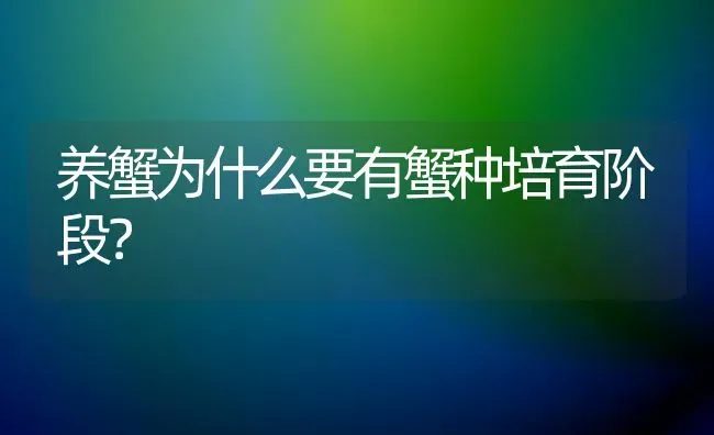 养蟹为什么要有蟹种培育阶段? | 养殖知识