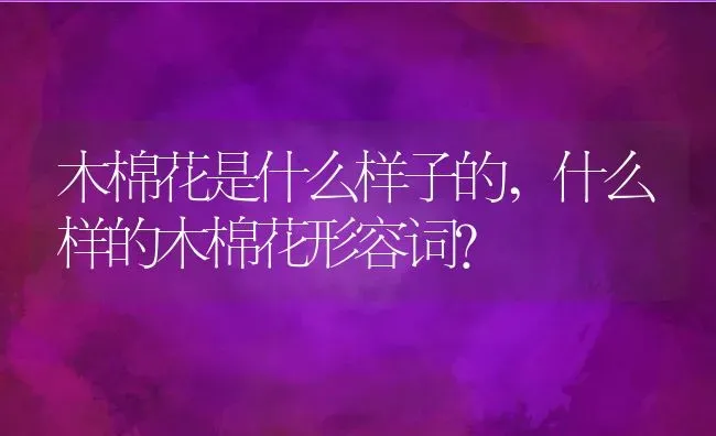 木棉花是什么样子的,什么样的木棉花形容词？ | 养殖科普