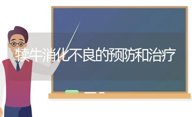 犊牛消化不良的预防和治疗 | 养殖技术大全