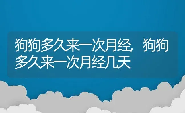 狗狗多久来一次月经,狗狗多久来一次月经几天 | 养殖科普