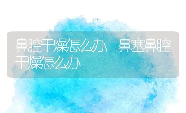 鼻腔干燥怎么办,鼻塞鼻腔干燥怎么办 | 养殖科普