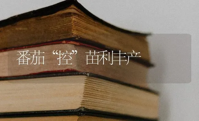番茄“控”苗利丰产 | 养殖知识