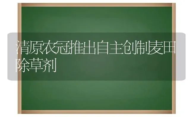 清原农冠推出自主创制麦田除草剂 | 养殖技术大全