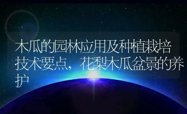 木瓜的园林应用及种植栽培技术要点,花梨木瓜盆景的养护 | 养殖学堂