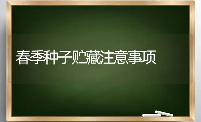 春季种子贮藏注意事项 | 养殖技术大全