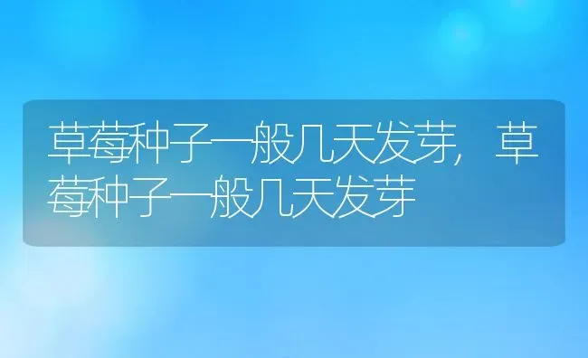 发酵的淘米水可以直接浇花吗需要兑水稀释,发酵过的淘米水没稀释就浇花,花会死吗？ | 养殖科普