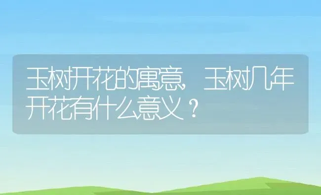 玉树开花的寓意,玉树几年开花有什么意义？ | 养殖科普