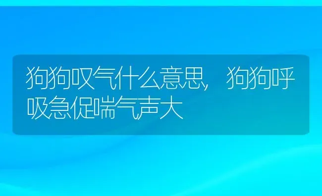 狗狗叹气什么意思,狗狗呼吸急促喘气声大 | 养殖科普