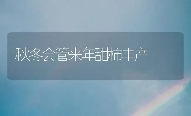 秋冬会管来年甜柿丰产 | 养殖技术大全