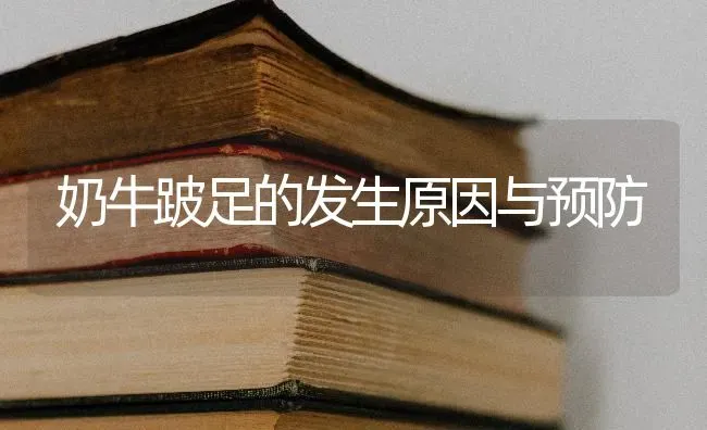 奶牛跛足的发生原因与预防 | 养殖知识
