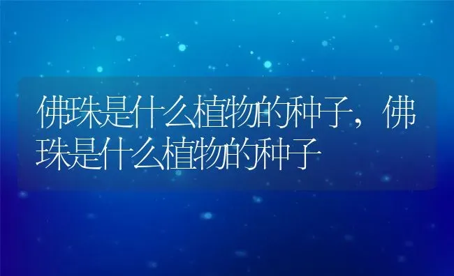 佛珠是什么植物的种子,佛珠是什么植物的种子 | 养殖科普