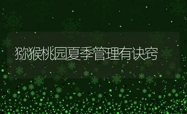猕猴桃园夏季管理有诀窍 | 养殖技术大全
