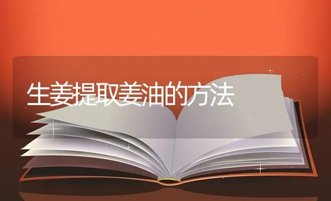 生姜提取姜油的方法 | 养殖技术大全