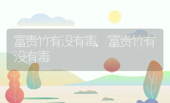 富贵竹有没有毒,富贵竹有没有毒 | 养殖科普