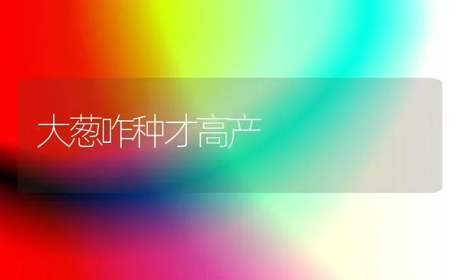 大葱咋种才高产 | 养殖知识