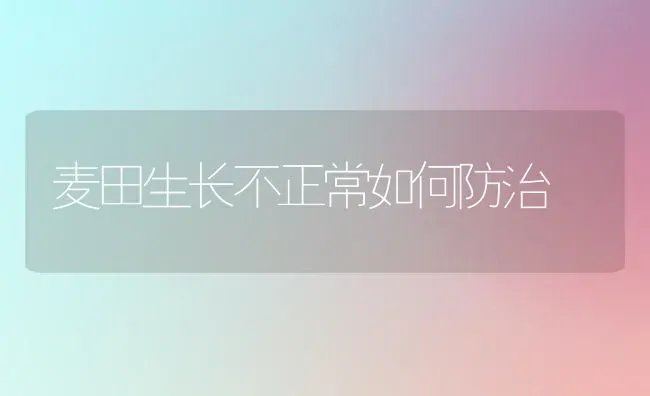 麦田生长不正常如何防治 | 养殖技术大全