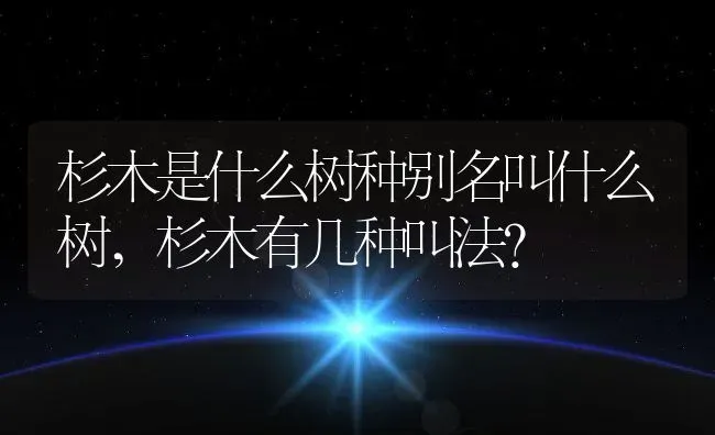 杉木是什么树种别名叫什么树,杉木有几种叫法？ | 养殖科普