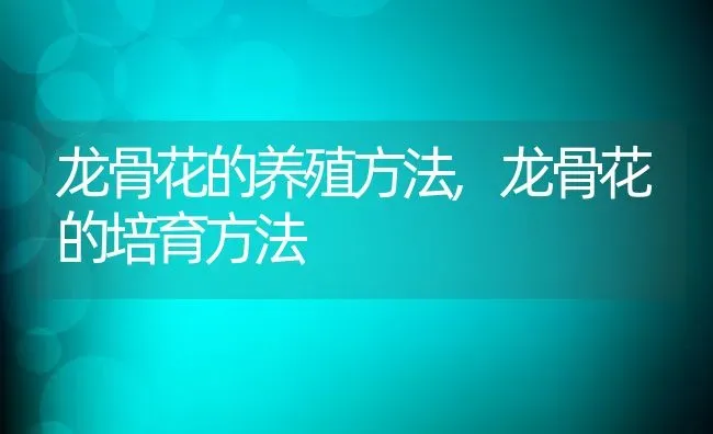 龙骨花的养殖方法,龙骨花的培育方法 | 养殖学堂