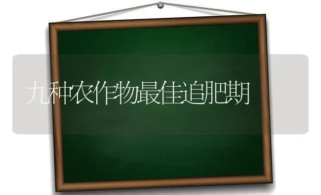 九种农作物最佳追肥期 | 养殖技术大全