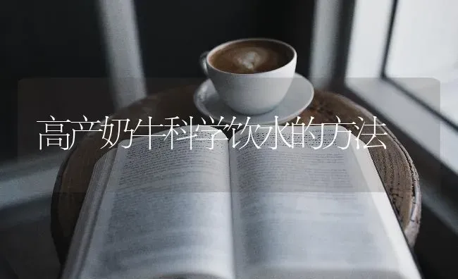高产奶牛科学饮水的方法 | 养殖技术大全