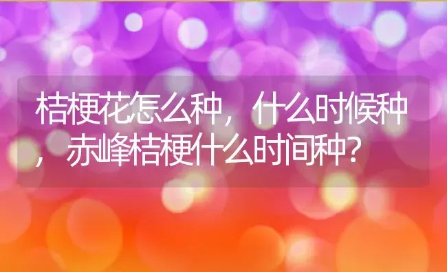 桔梗花怎么种，什么时候种,赤峰桔梗什么时间种？ | 养殖科普