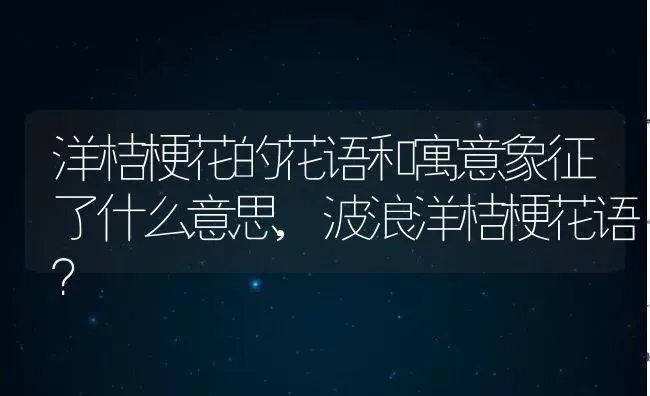 洋桔梗花的花语和寓意象征了什么意思,波浪洋桔梗花语？ | 养殖科普