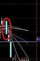 形态特征是什么意思,外形描写和外貌描写的区别？