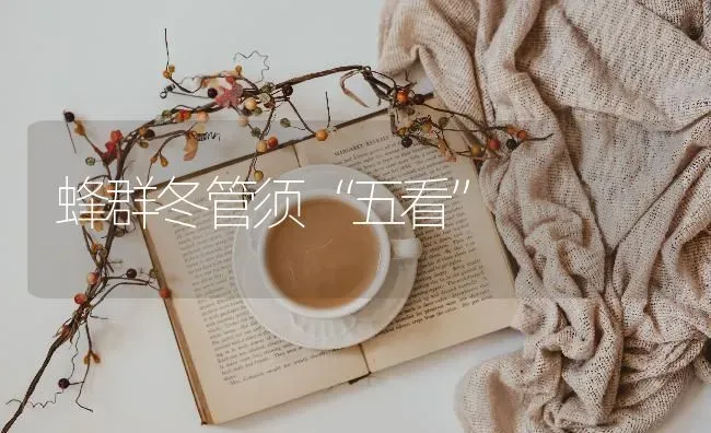 蜂群冬管须“五看” | 养殖技术大全