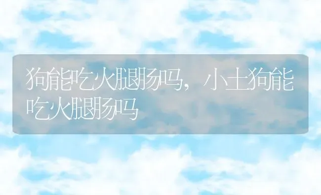 狗能吃火腿肠吗,小土狗能吃火腿肠吗 | 养殖科普