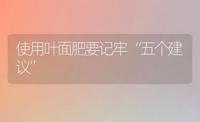 使用叶面肥要记牢“五个建议” | 养殖技术大全