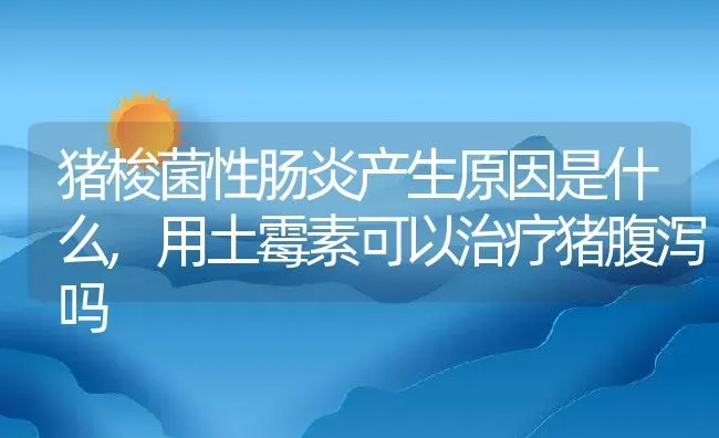 猪梭菌性肠炎产生原因是什么,用土霉素可以治疗猪腹泻吗 | 养殖学堂