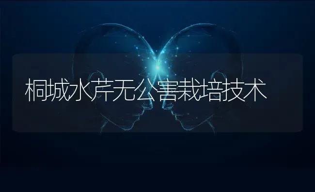 桐城水芹无公害栽培技术 | 养殖技术大全