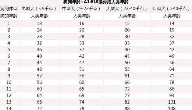 狗狗年龄对照表,狗狗年龄对照表？