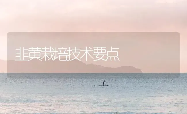 韭黄栽培技术要点 | 养殖技术大全