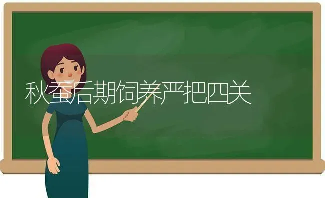 秋蚕后期饲养严把四关 | 养殖知识