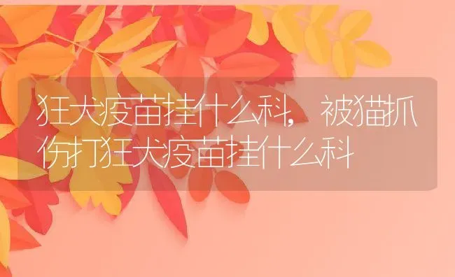 狂犬疫苗挂什么科,被猫抓伤打狂犬疫苗挂什么科 | 养殖科普