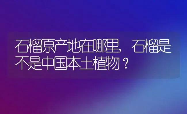 石榴原产地在哪里,石榴是不是中国本土植物？ | 养殖科普