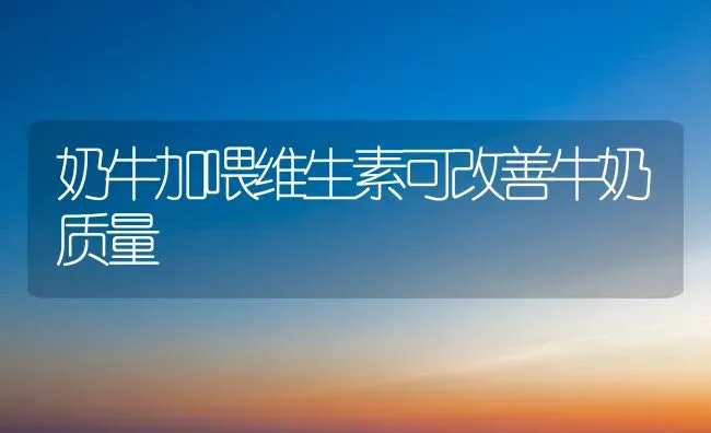 奶牛加喂维生素可改善牛奶质量 | 养殖技术大全