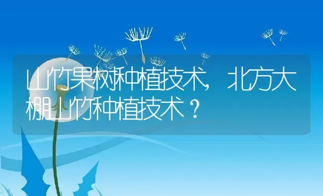 山竹果树种植技术,北方大棚山竹种植技术？ | 养殖科普