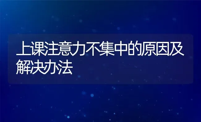 上课注意力不集中的原因及解决办法 | 养殖科普