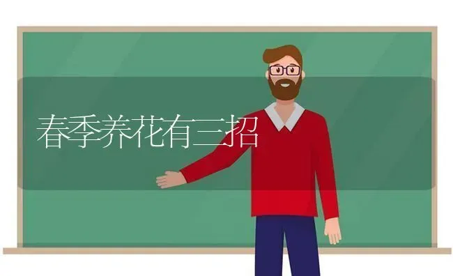 春季养花有三招 | 养殖技术大全