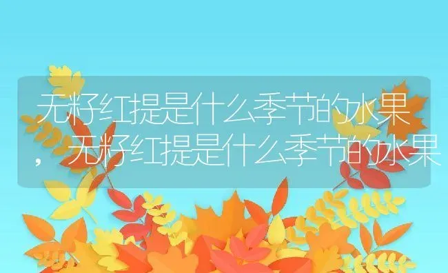 无籽红提是什么季节的水果,无籽红提是什么季节的水果 | 养殖科普