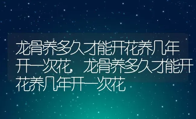 龙骨养多久才能开花养几年开一次花,龙骨养多久才能开花养几年开一次花 | 养殖科普