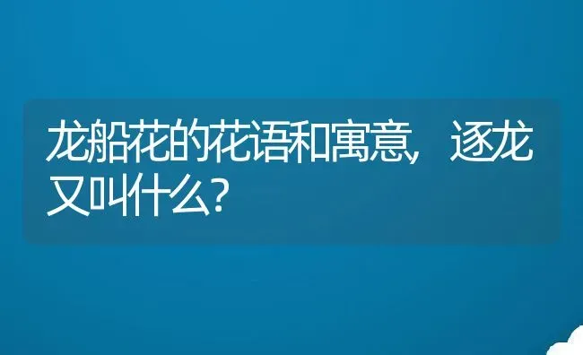 龙船花的花语和寓意,逐龙又叫什么？ | 养殖科普